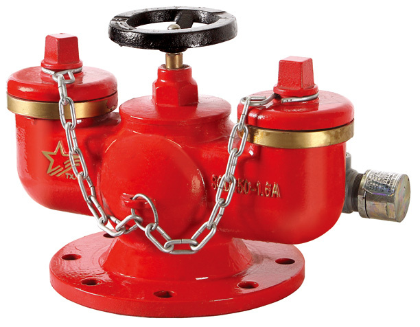 Fire Pump Connector Fittings 02